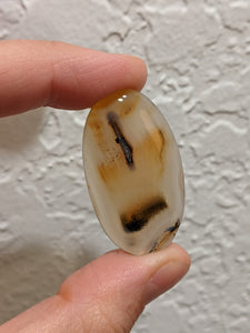 Montana Agate Cabochon