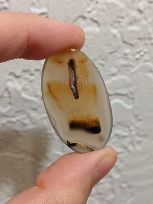 Montana Agate Cabochon