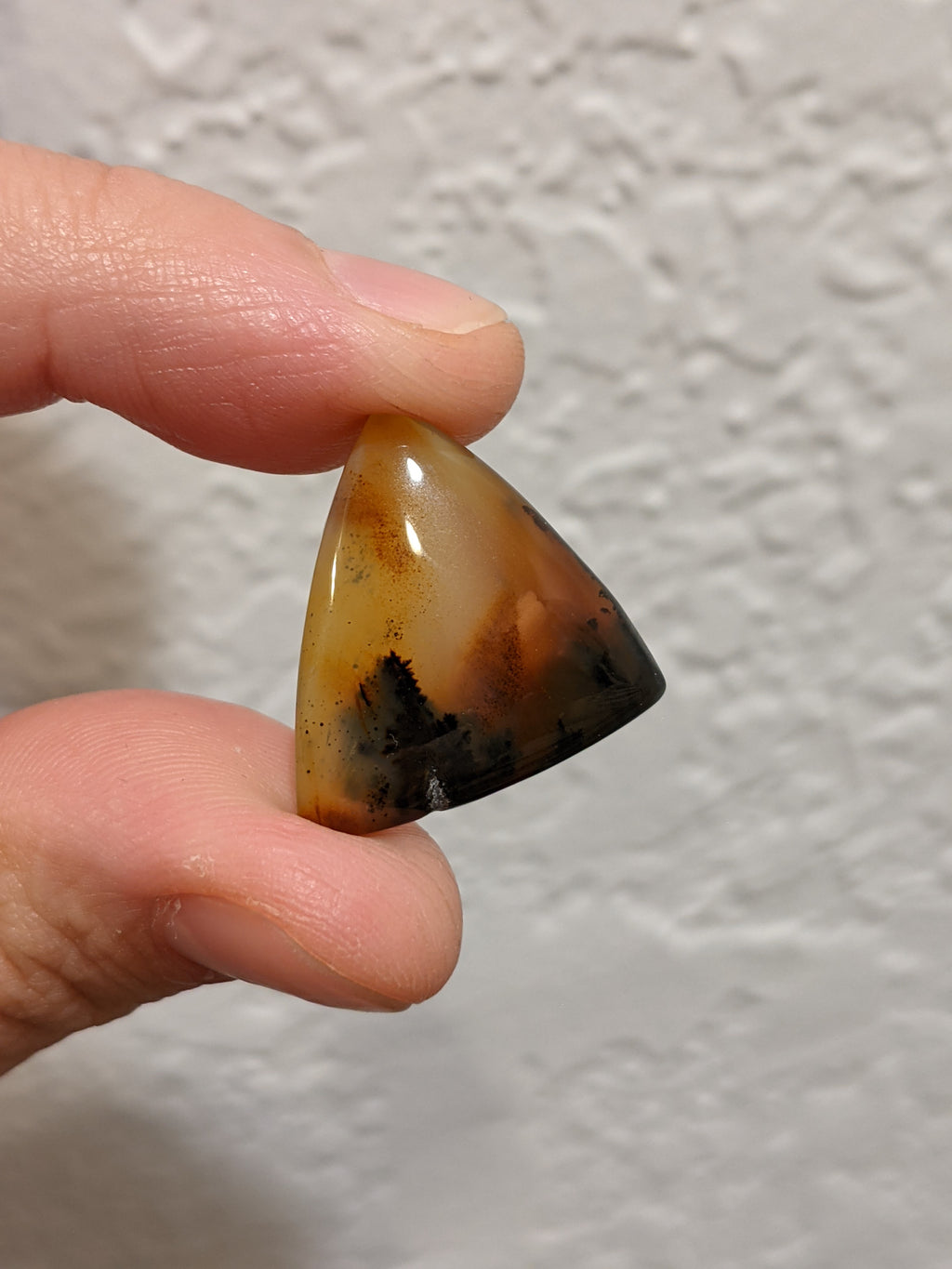 Montana Agate Cabochon